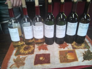 IMG_20141104_122310_608