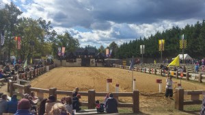 JoustArea