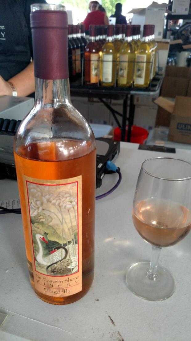 FarEasternShoreDragonfly1