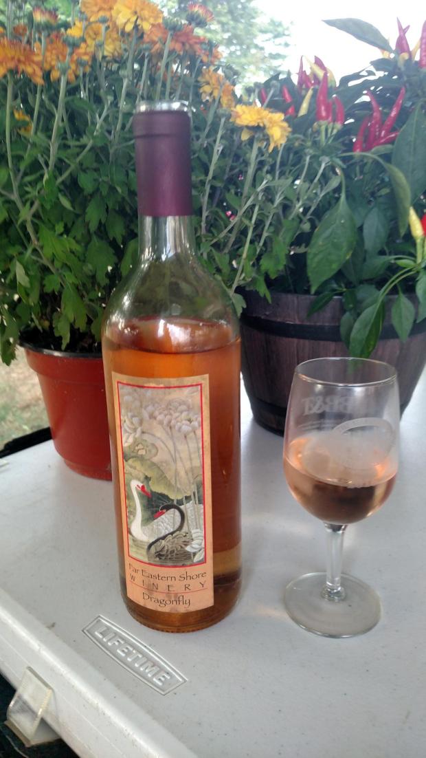 FarEasternShoreDragonfly6