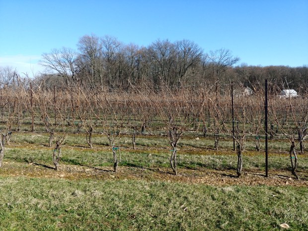 OldWestminsterWinery1